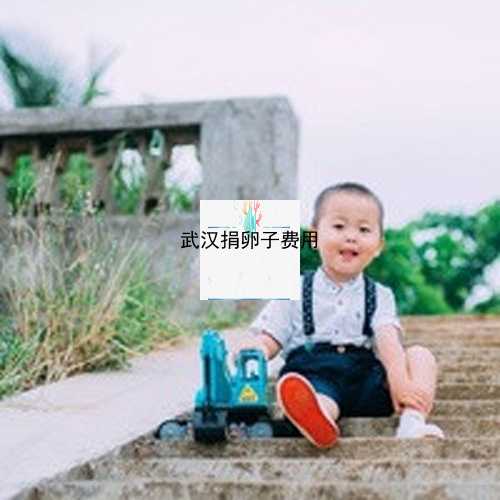 武汉代孕产子机构|60694_vBI95_271S5_188b0_α和β地贫哪个遗传给宝宝后比较严重？